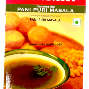 BADSHAH - PANI PURI MASALA - 100GM