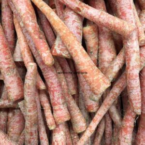 CARROTS INDIAN - 1LB | (3 pcs approx.)