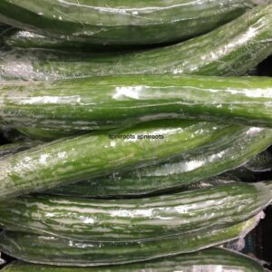 CUCUMBER ENGLISH EACH