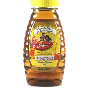 DABUR - HONEY - 250GM