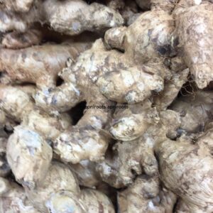 GINGER INDIAN / ORGANIC - 1LB | (2-3 pcs approx.)