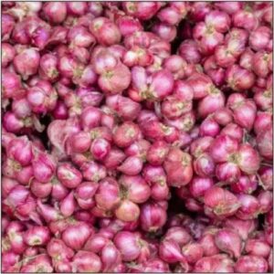 INDIAN - ONION SMALL - 1LB