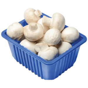 MUSHROOM - WHITE 1 PACK - 226GM