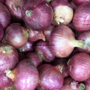 ONION - LIGHT PINK INDIAN - 1LB