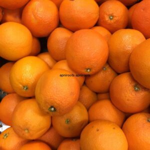 ORANGE - 1LB | (2 pcs approx.)