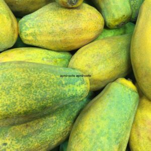 PAPAYA LARGE - 2.5LB | (1 pc approx)