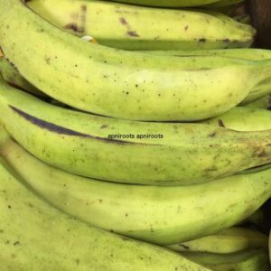 PLANTIAN - 1LB | (1-2 pcs approx.)