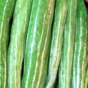SNAKE GOURD - 1lb | (1-2 pcs approx)
